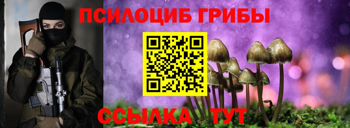 Псилоцибиновые грибы Cubensis  Вход с VPN  Строитель 